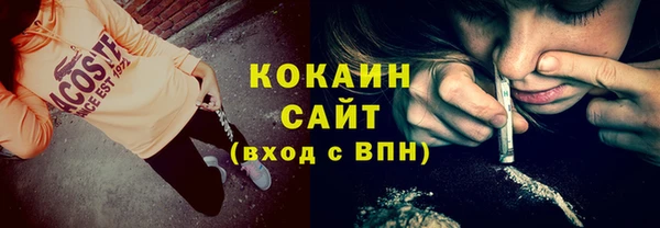 тгк Нея