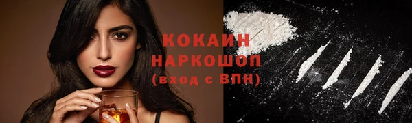 тгк Нея