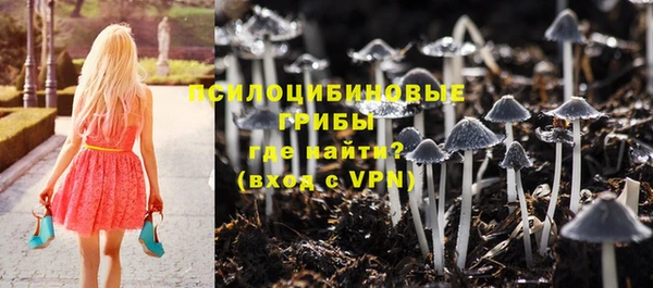 2c-b Нефтегорск