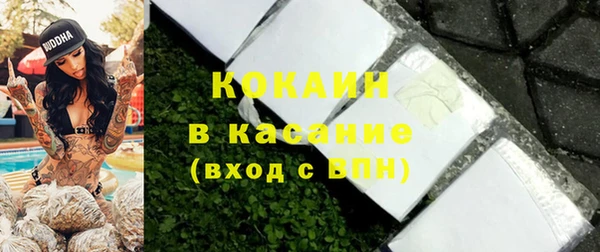 тгк Нея