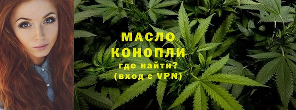 тгк Нея