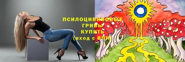 тгк Нея