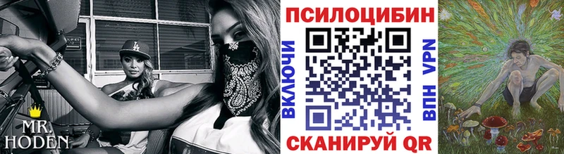 Псилоцибиновые грибы Magic Shrooms  МЕГА   Нефтекумск 