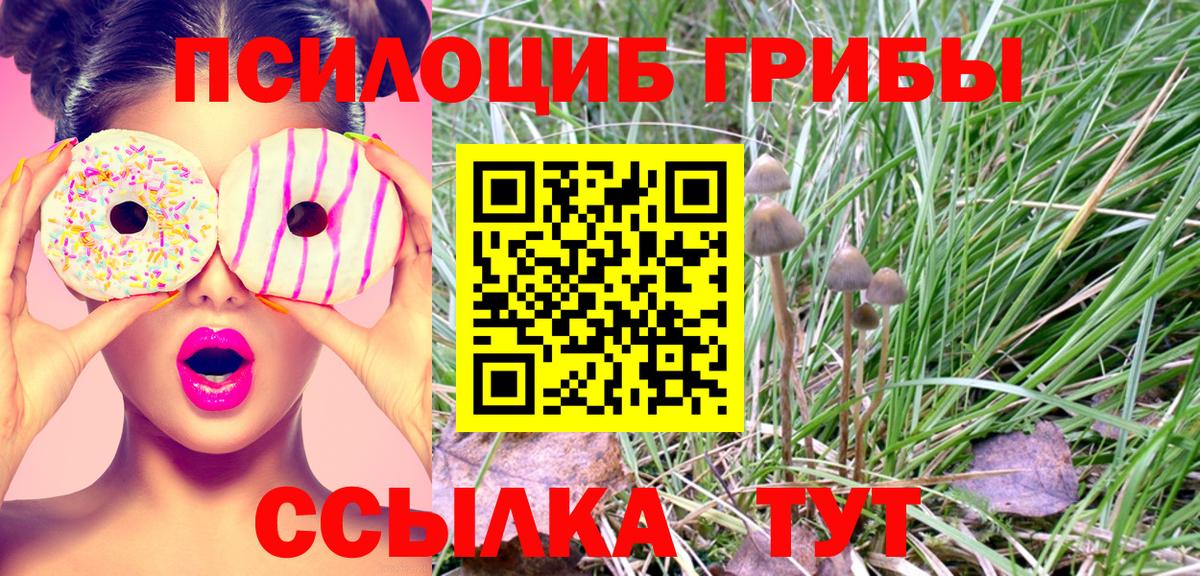 Галлюциногенные грибы Psilocybe  Нефтекумск  Галлюциногенные грибы прущие грибы 